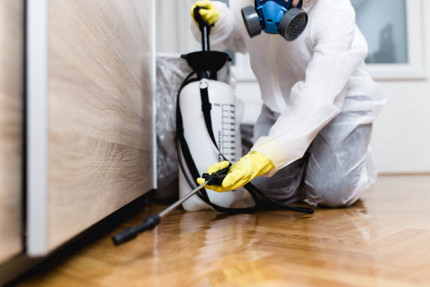 Best Rat Extermination Near Me  in Cullowhee, NC