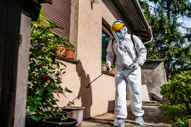 Reliable Cullowhee, NC Pest Control Solutions