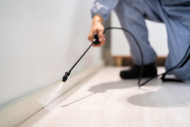 Best Pest Removal Services  in Cullowhee, NC