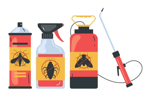 Best Wasp Removal Services  in Cullowhee, NC