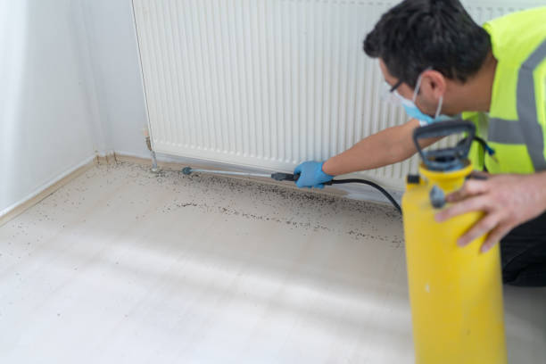Best Exterminator Services  in Cullowhee, NC